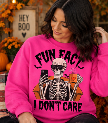 Fun Fact I Don't Care Graphic